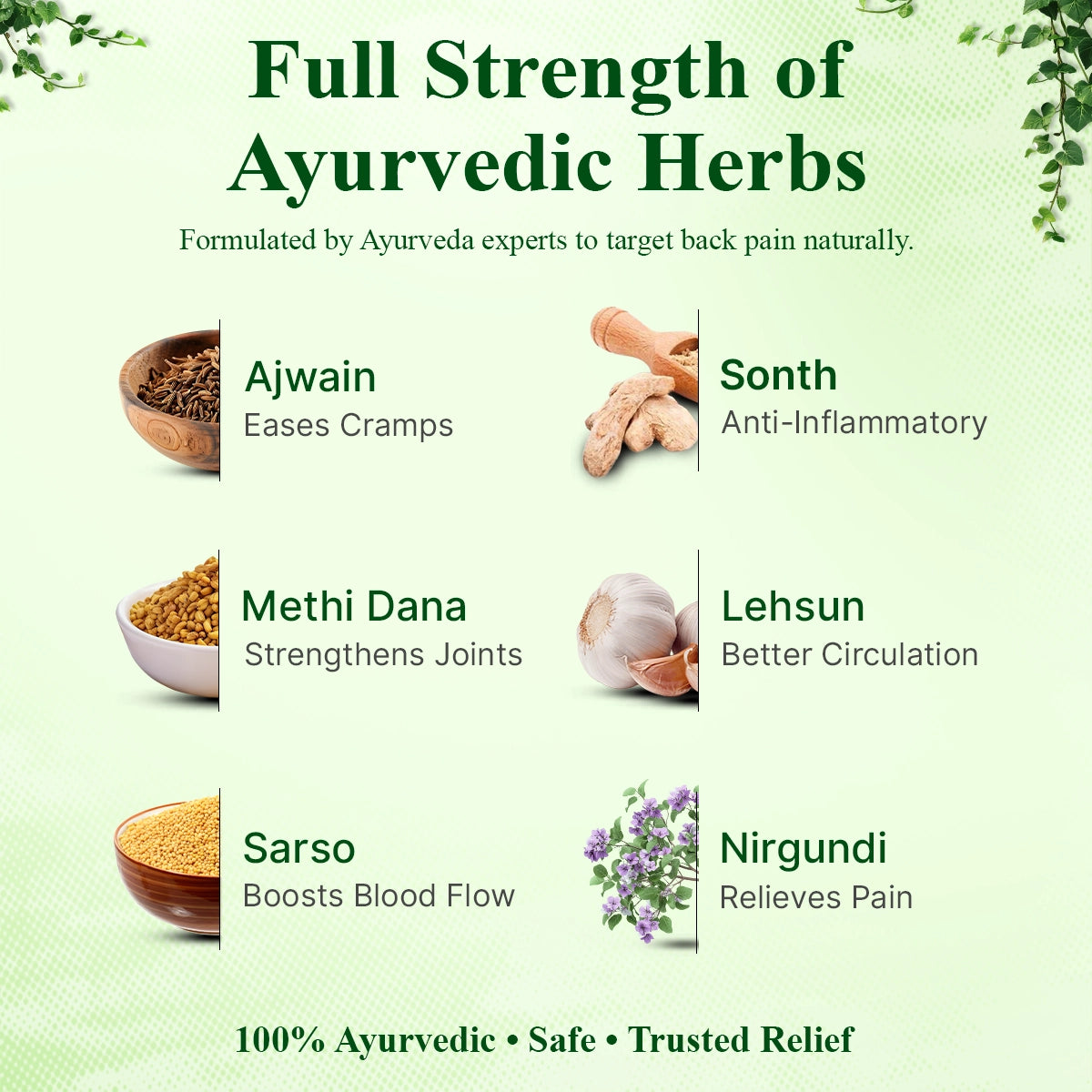 Ayurvedic Back Pain Relief Oil | 110ml